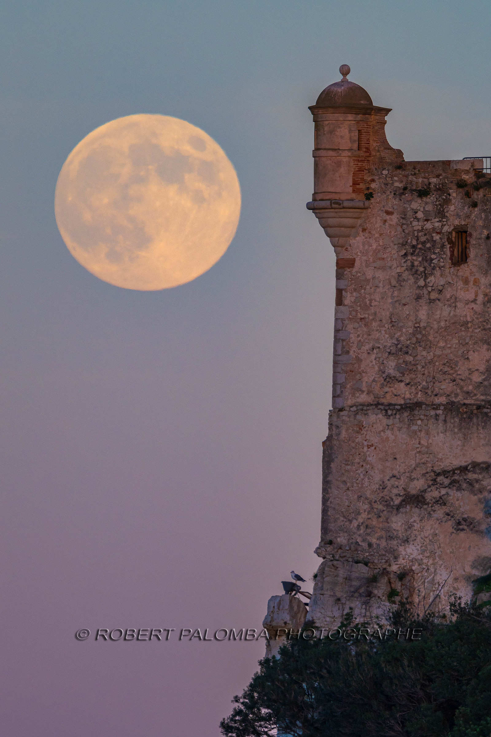 Lérins Sainte Marguerite 2024