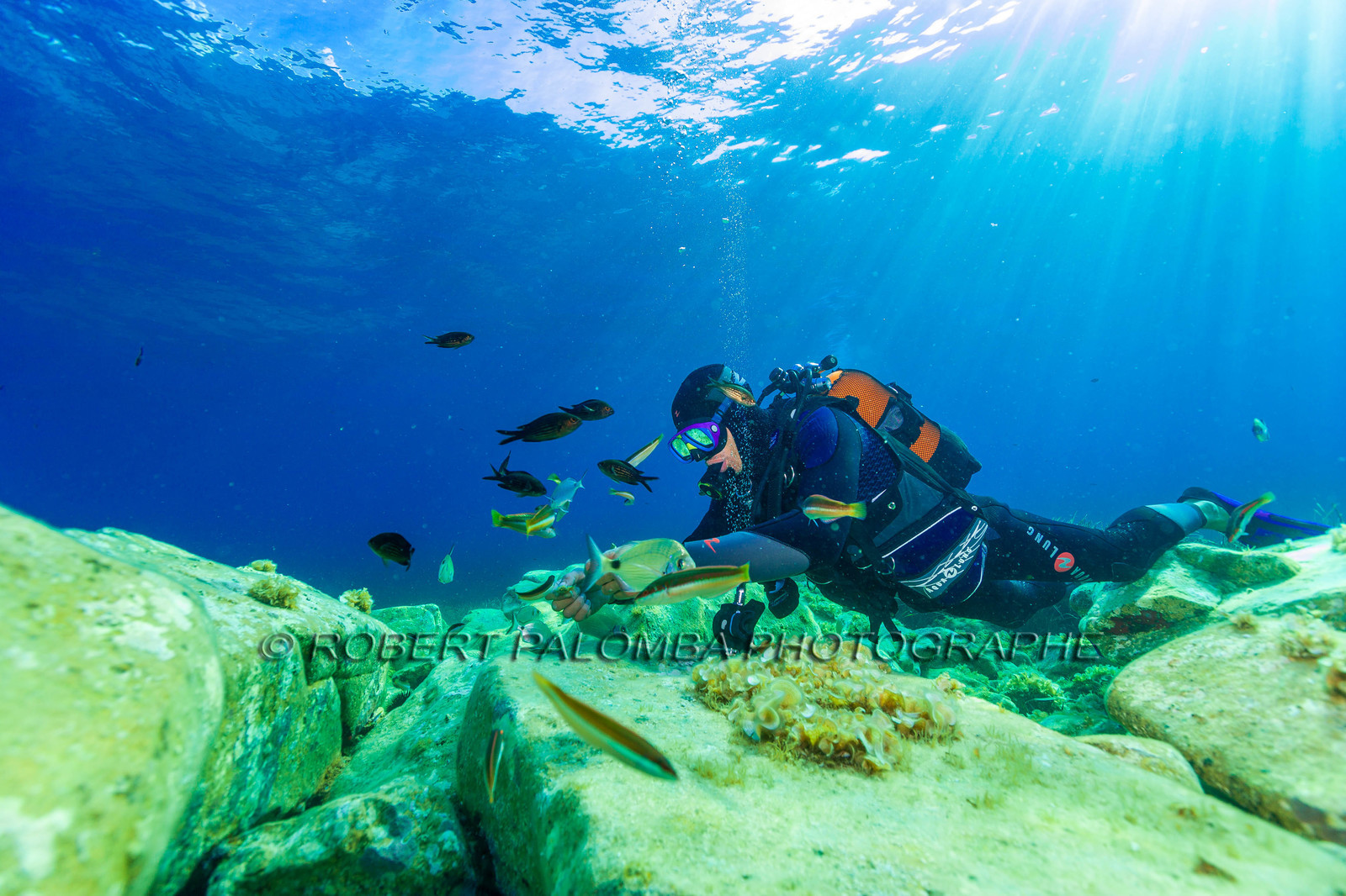 Plongée-sous-marine