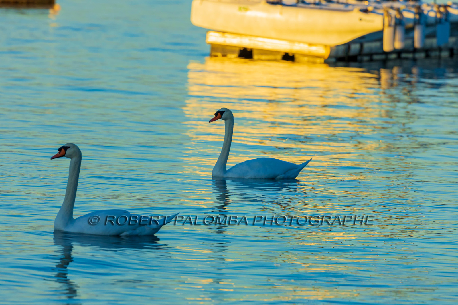 Lérins Sainte Marguerite 2024