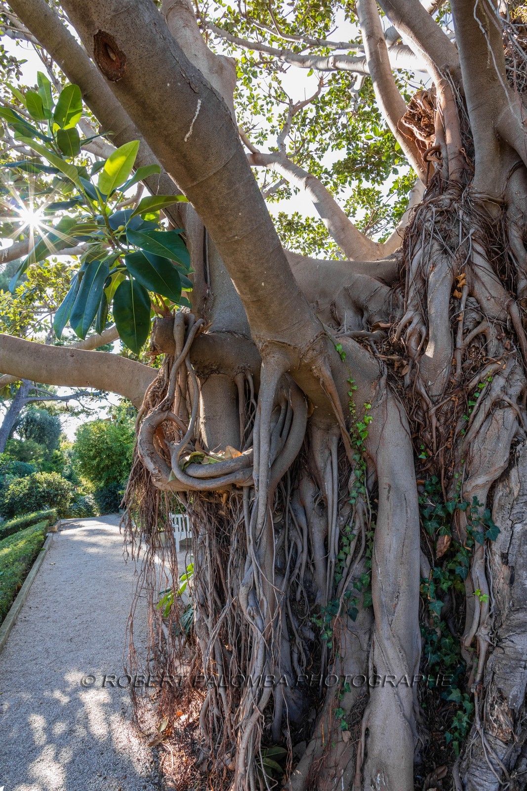Saint-Jean-Cap-Ferrat