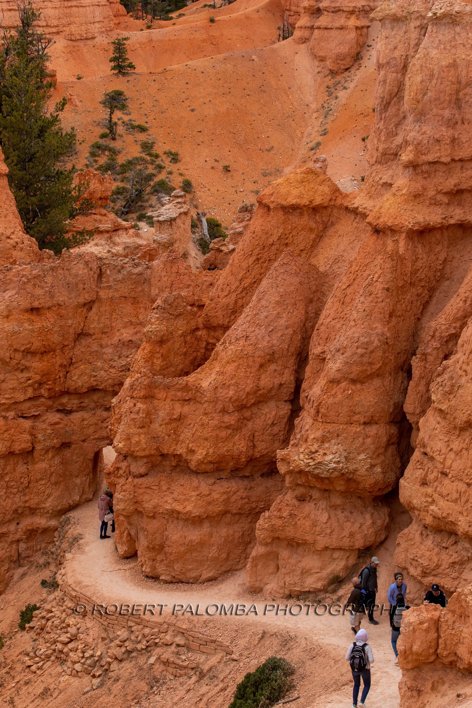 Bryce Canyon