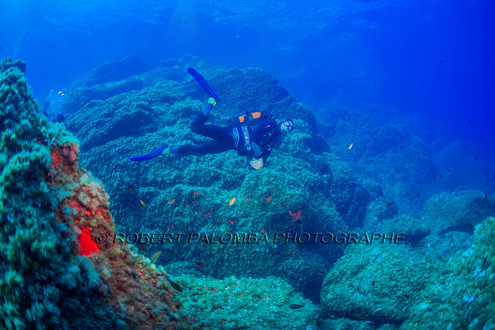 Plongée-sous-marine