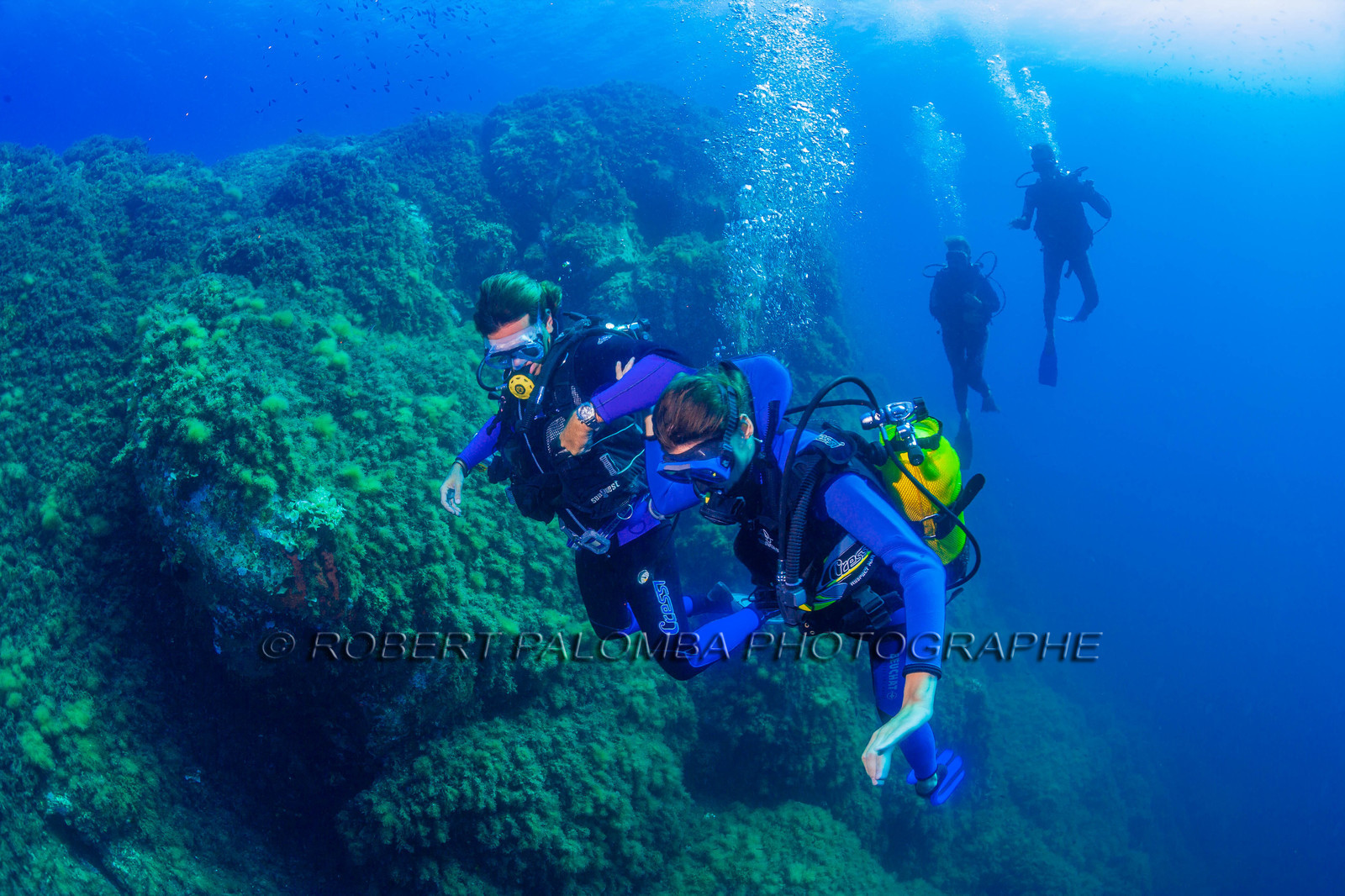 Plongée-sous-marine