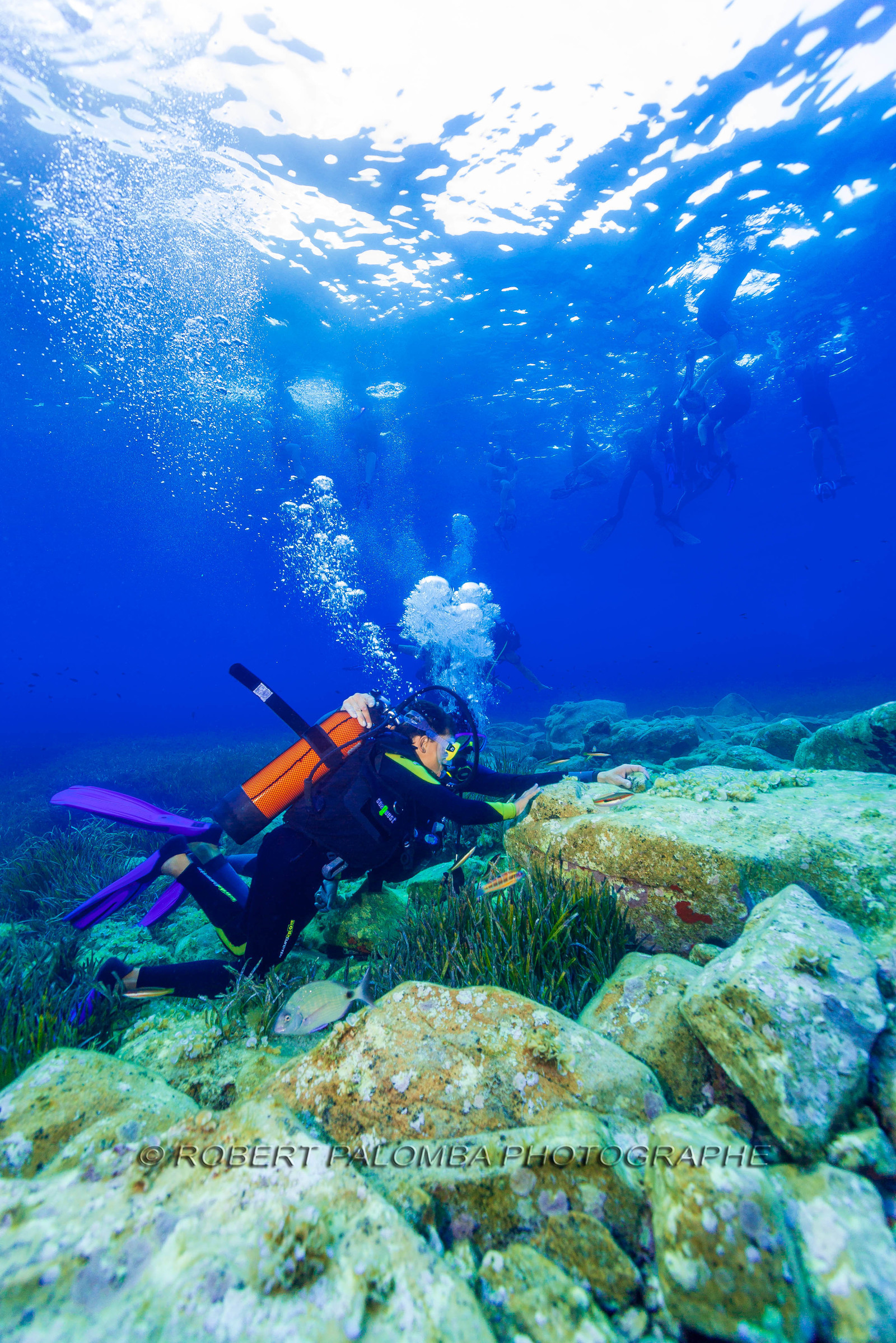 Plongée-sous-marine