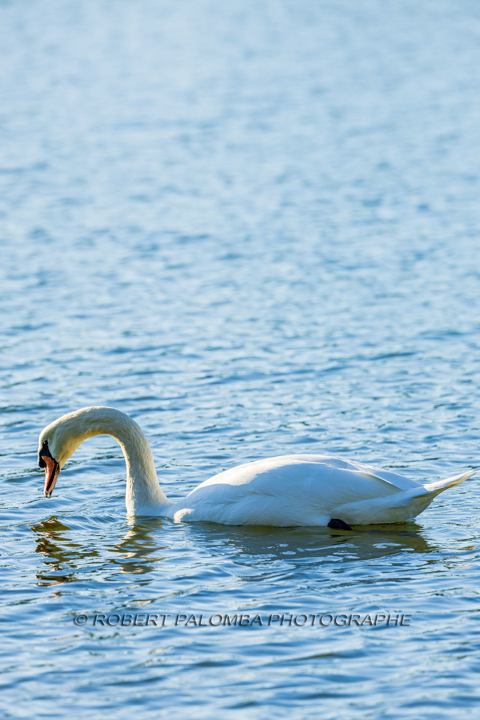 Lérins Sainte Marguerite 2024