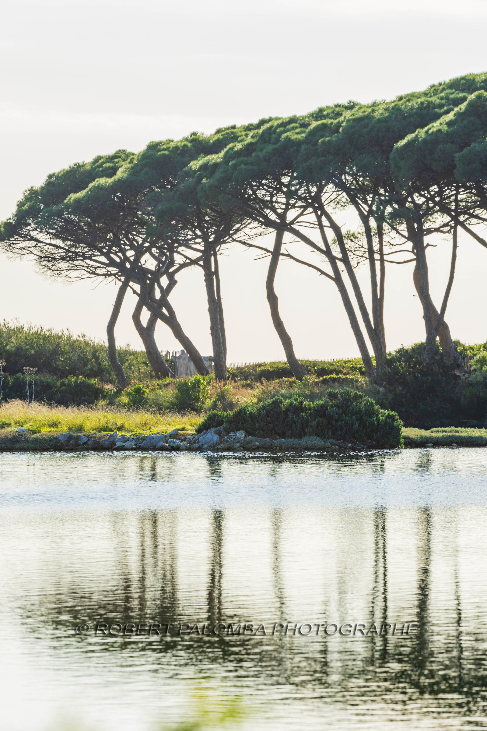 Lérins Sainte-Marguerite 2024