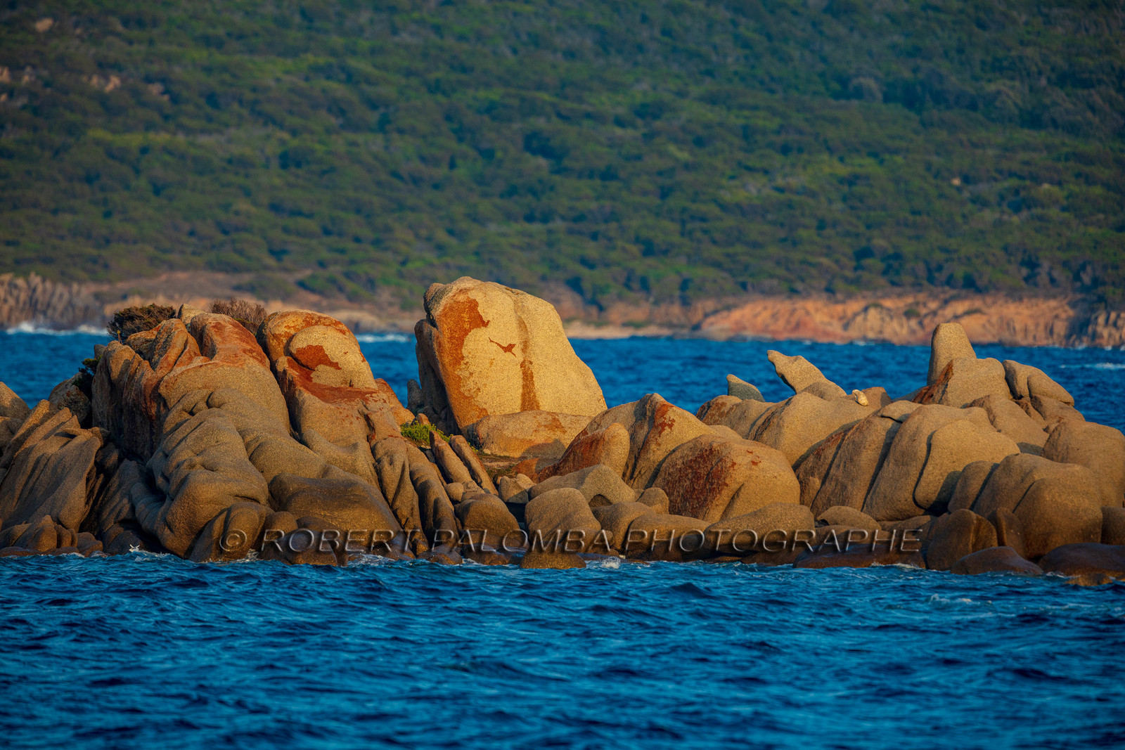 Pianottoli Caldarelo