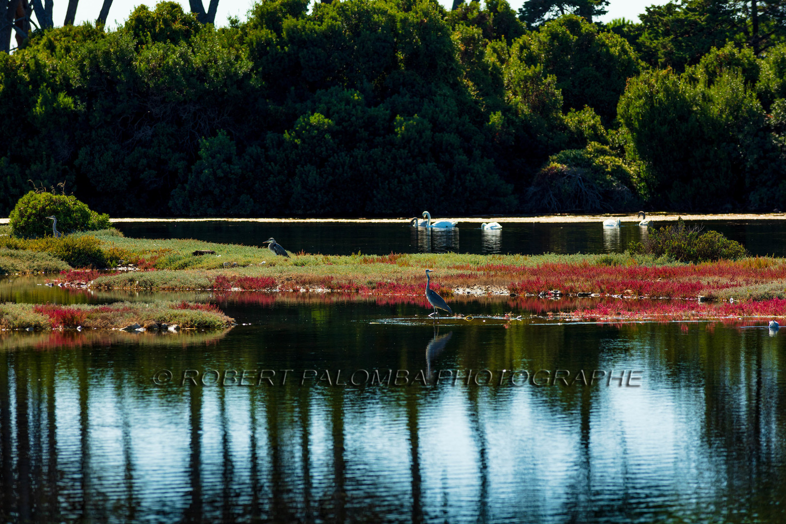 Lérins, Sainte-Marguerite