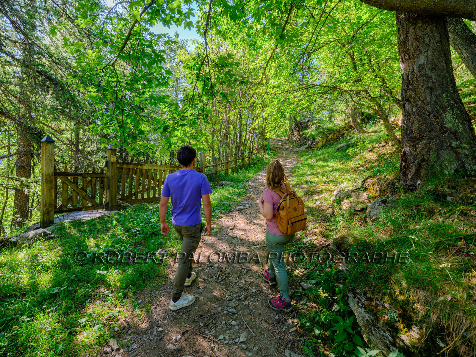Rando Lac des Grenouilles