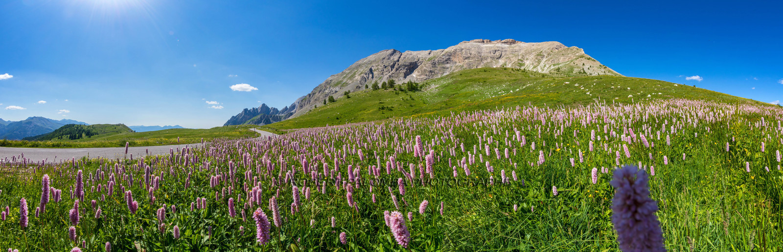 Col des Champs