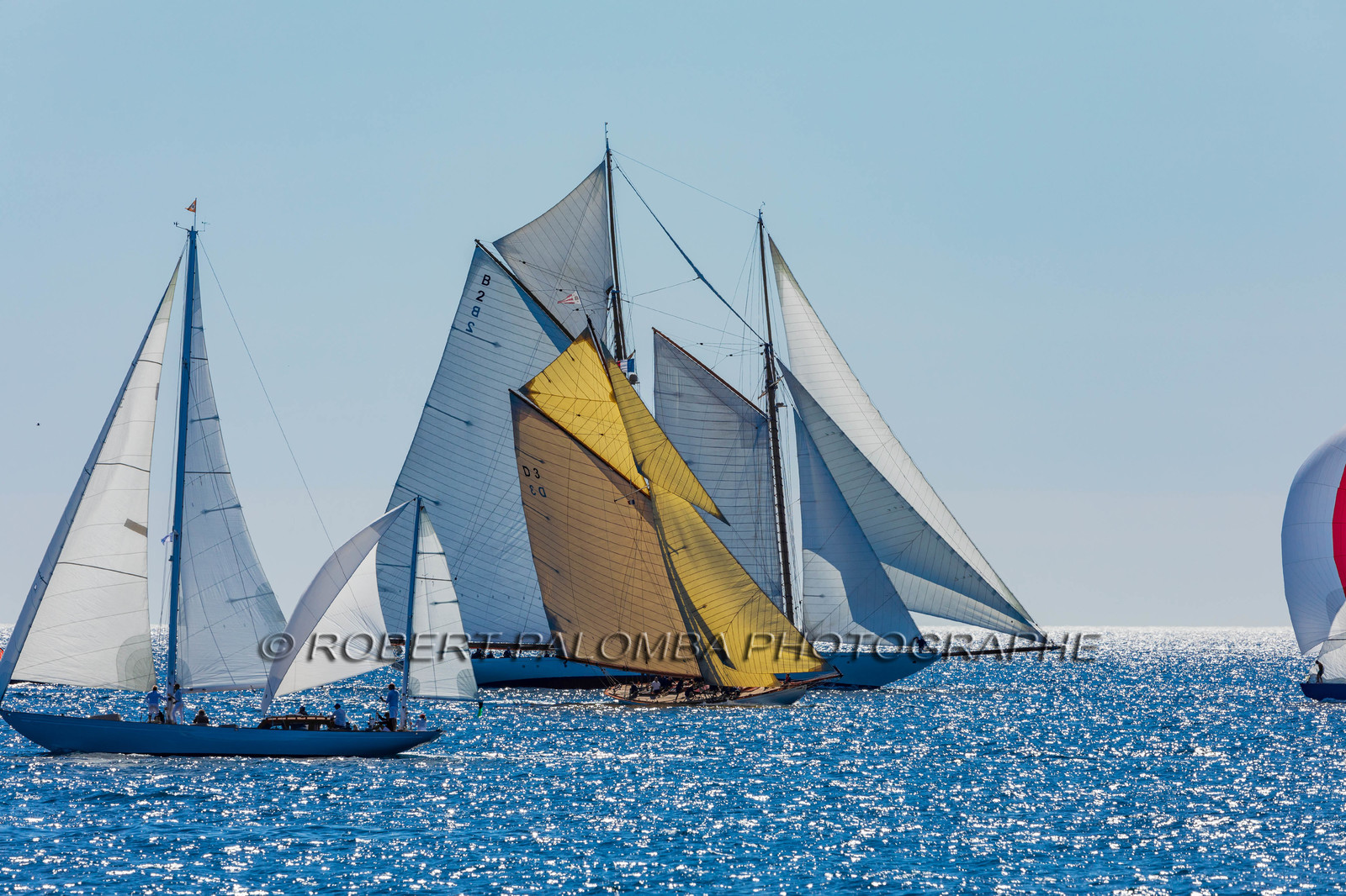 Régates Royales