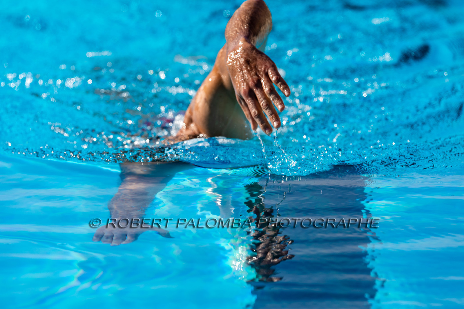 Natation