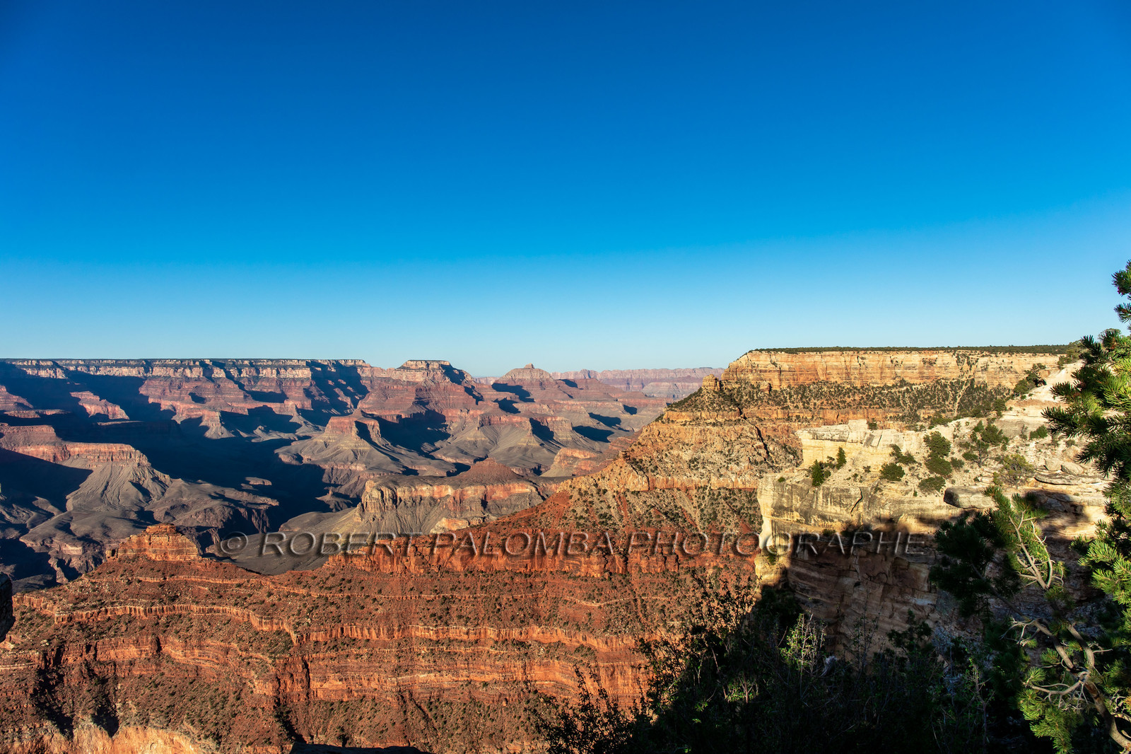 Grand Canyon