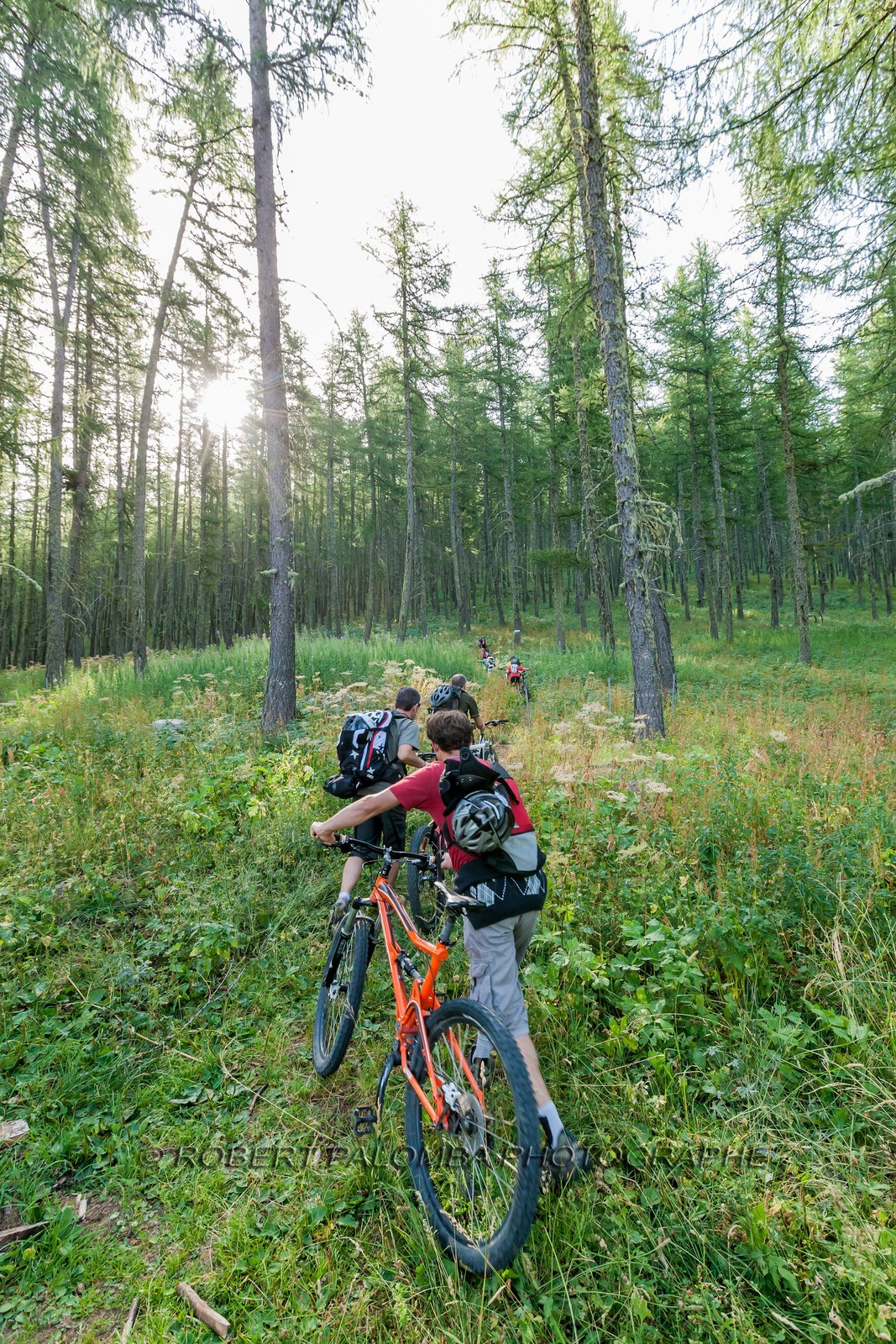 Rando Vtt Lacs de Lignin