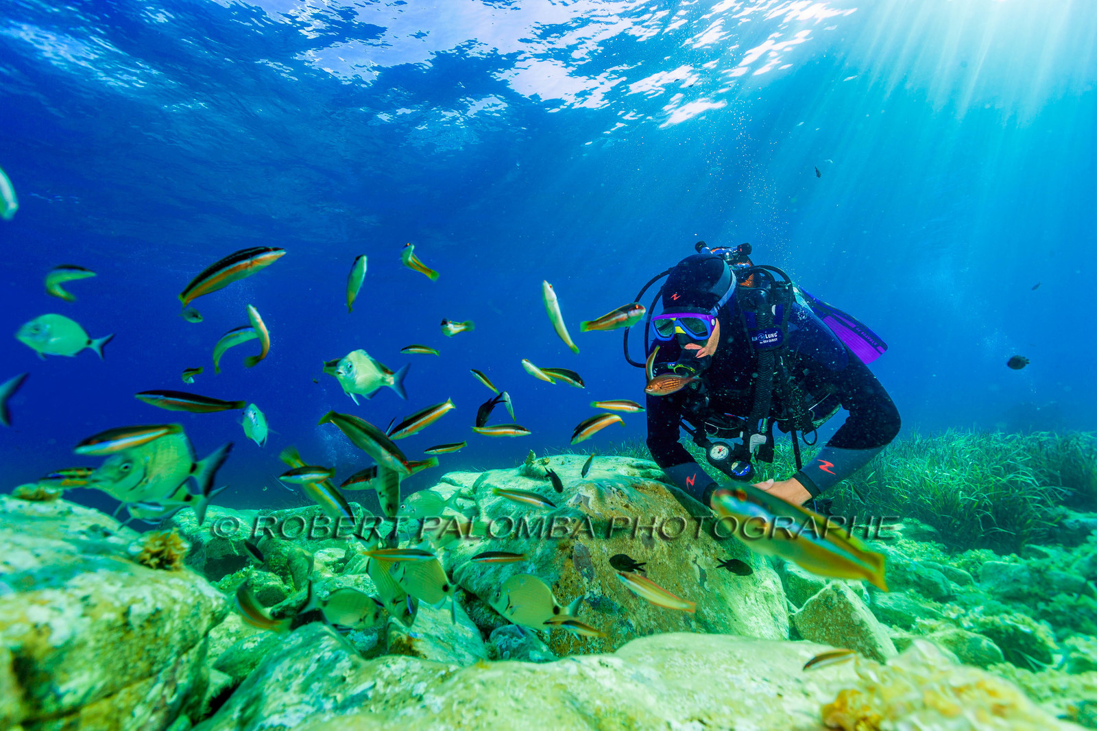 Plongée-sous-marine