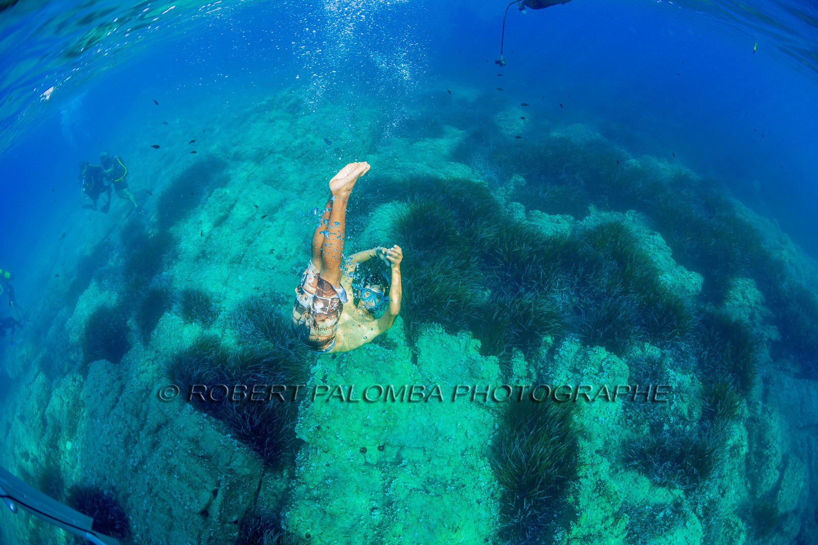 Plongée-sous-marine