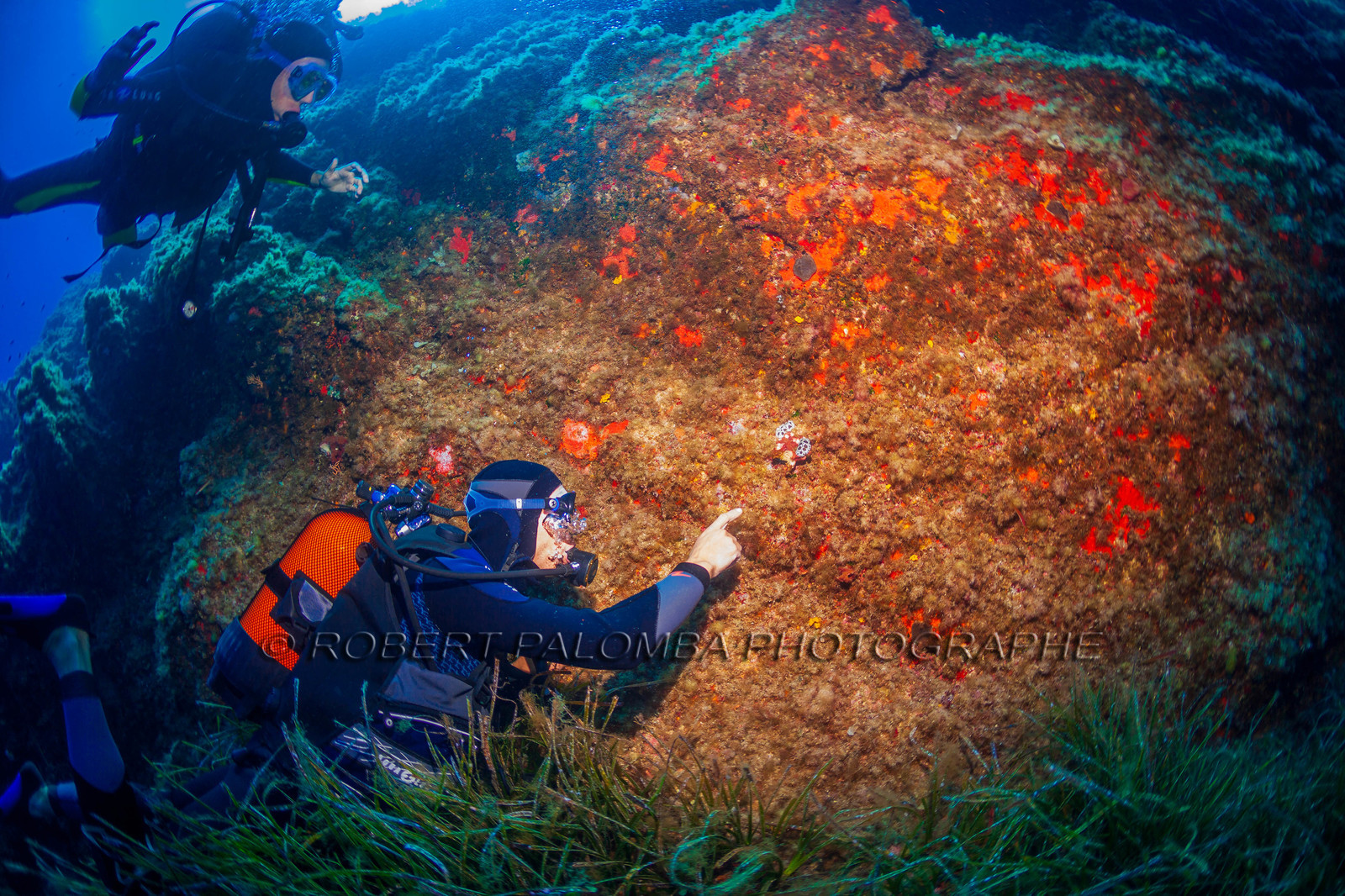 Plongée-sous-marine