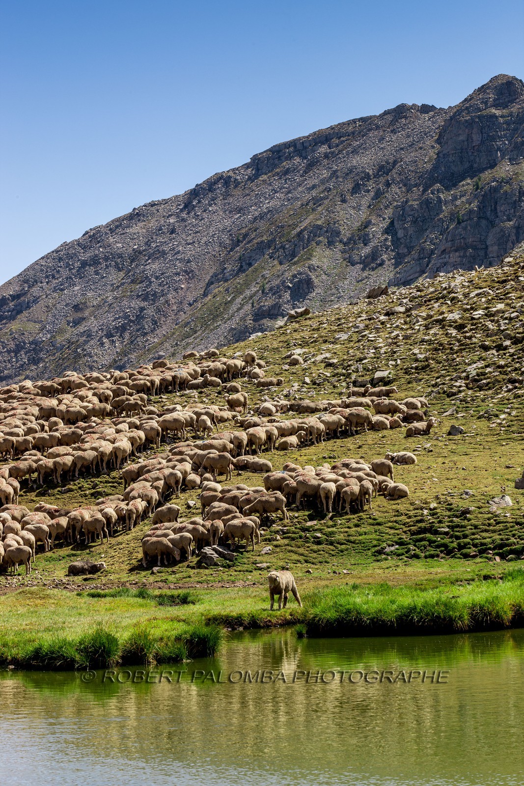 Rando Vtt Lacs de Lignin