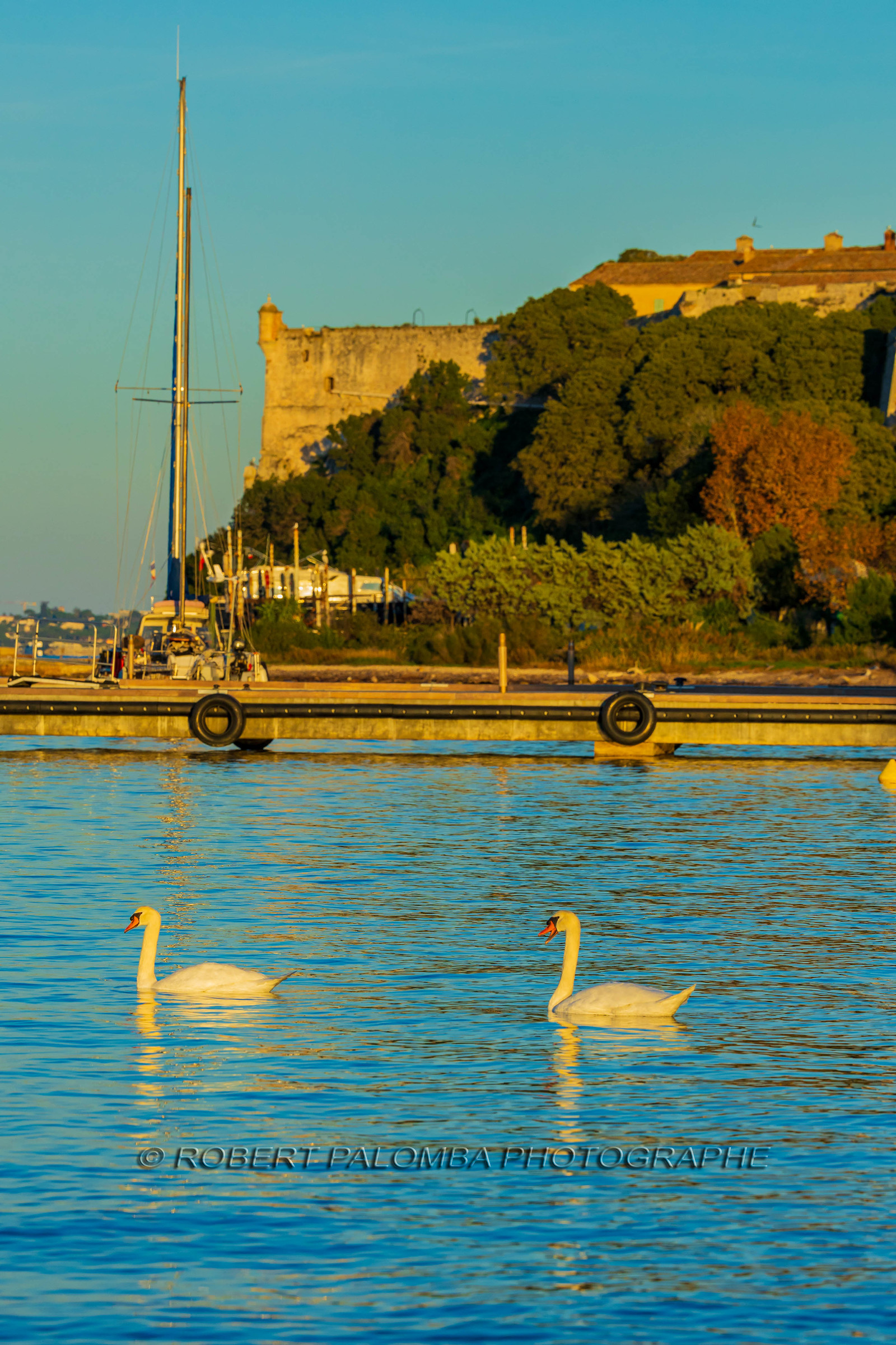 Lérins Sainte Marguerite 2024