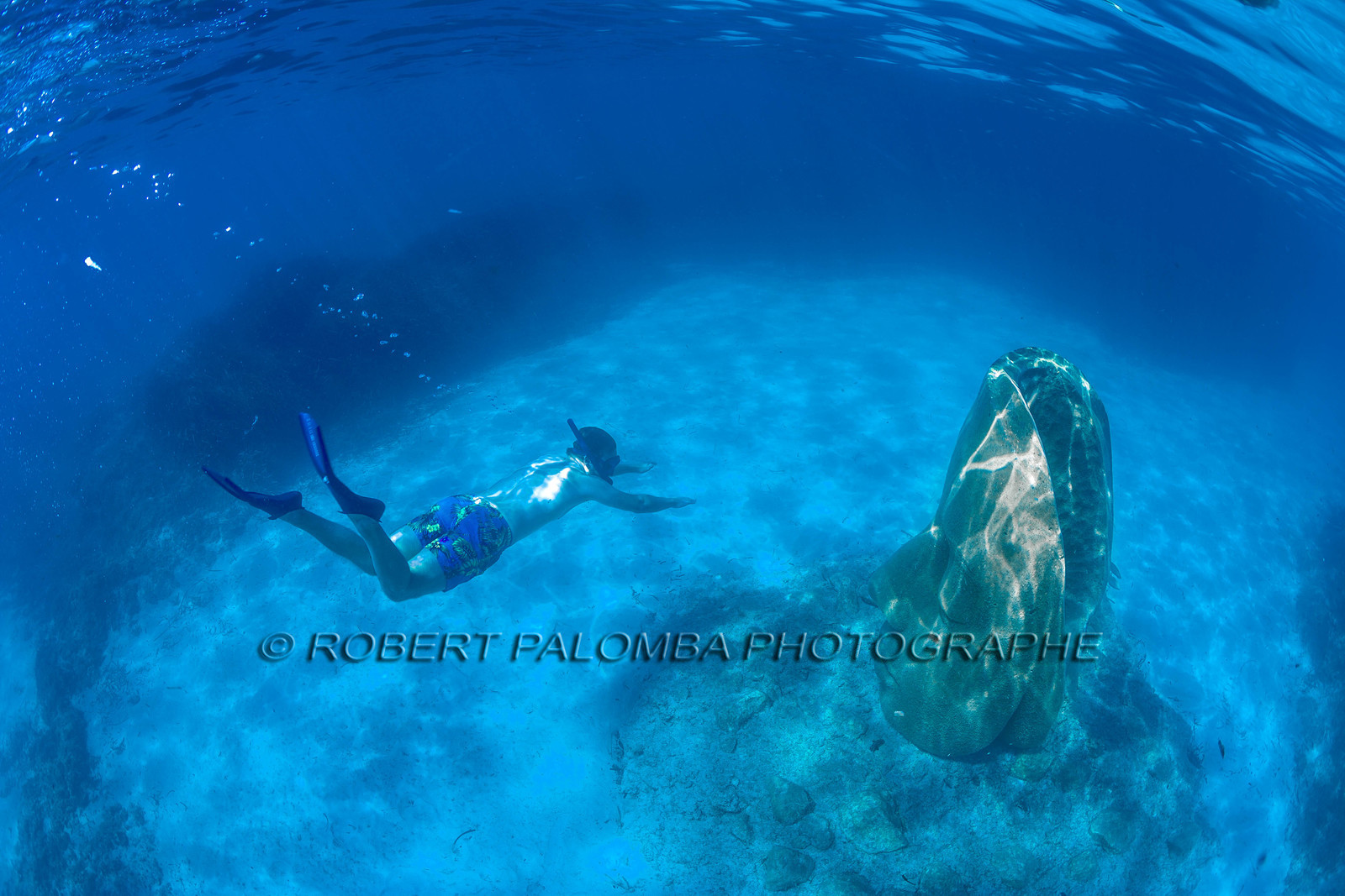Lérins Sainte-Marguerite