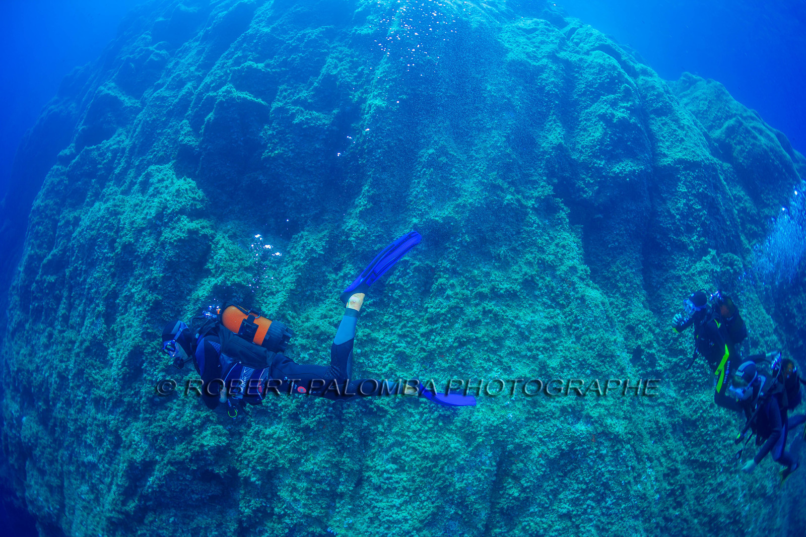 Plongée-sous-marine