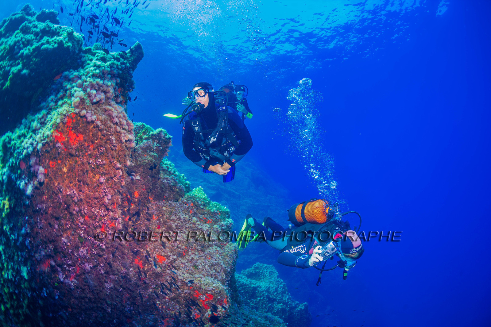 Plongée-sous-marine