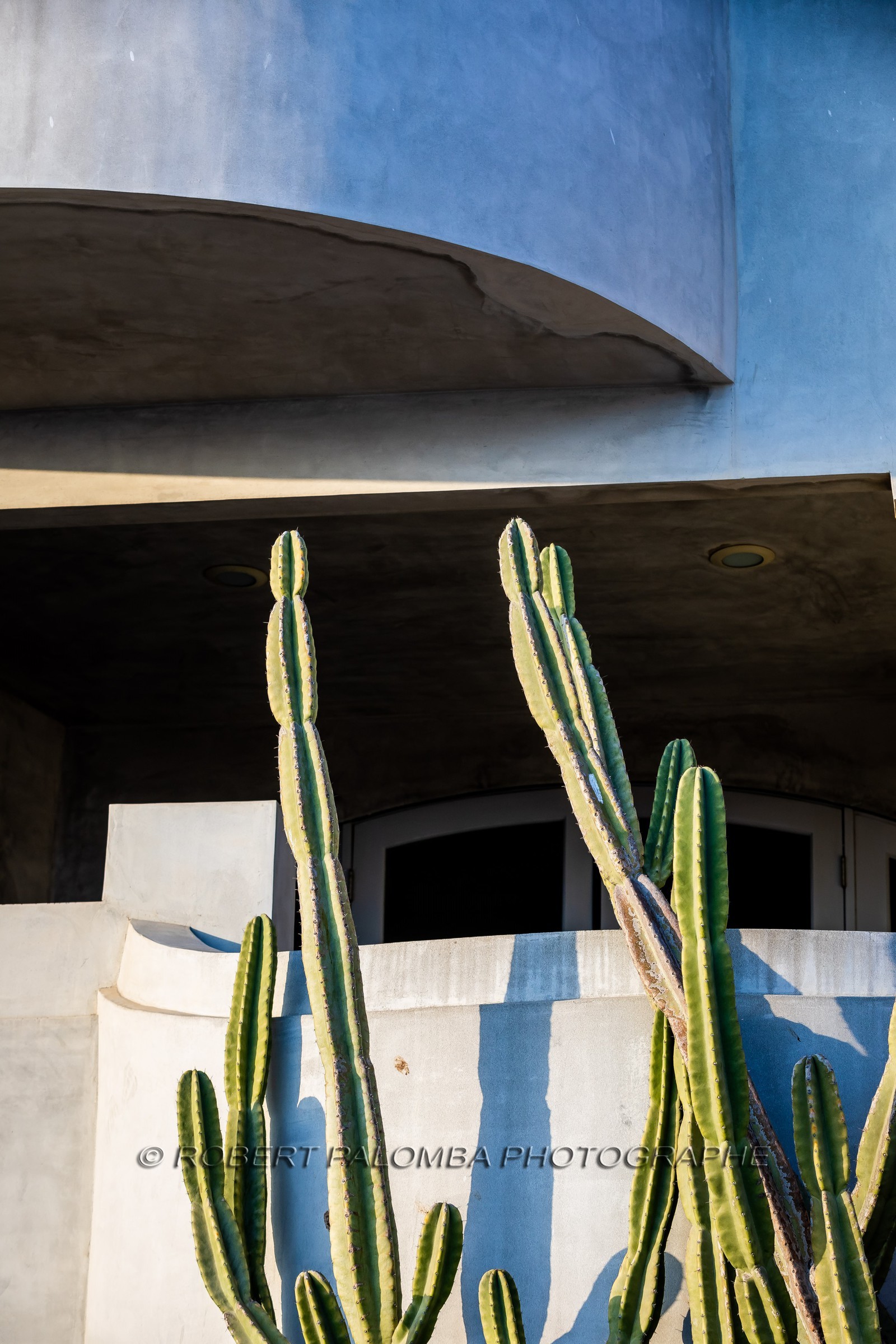 United States, South California, Los Angeles, Venice, Venice Beach