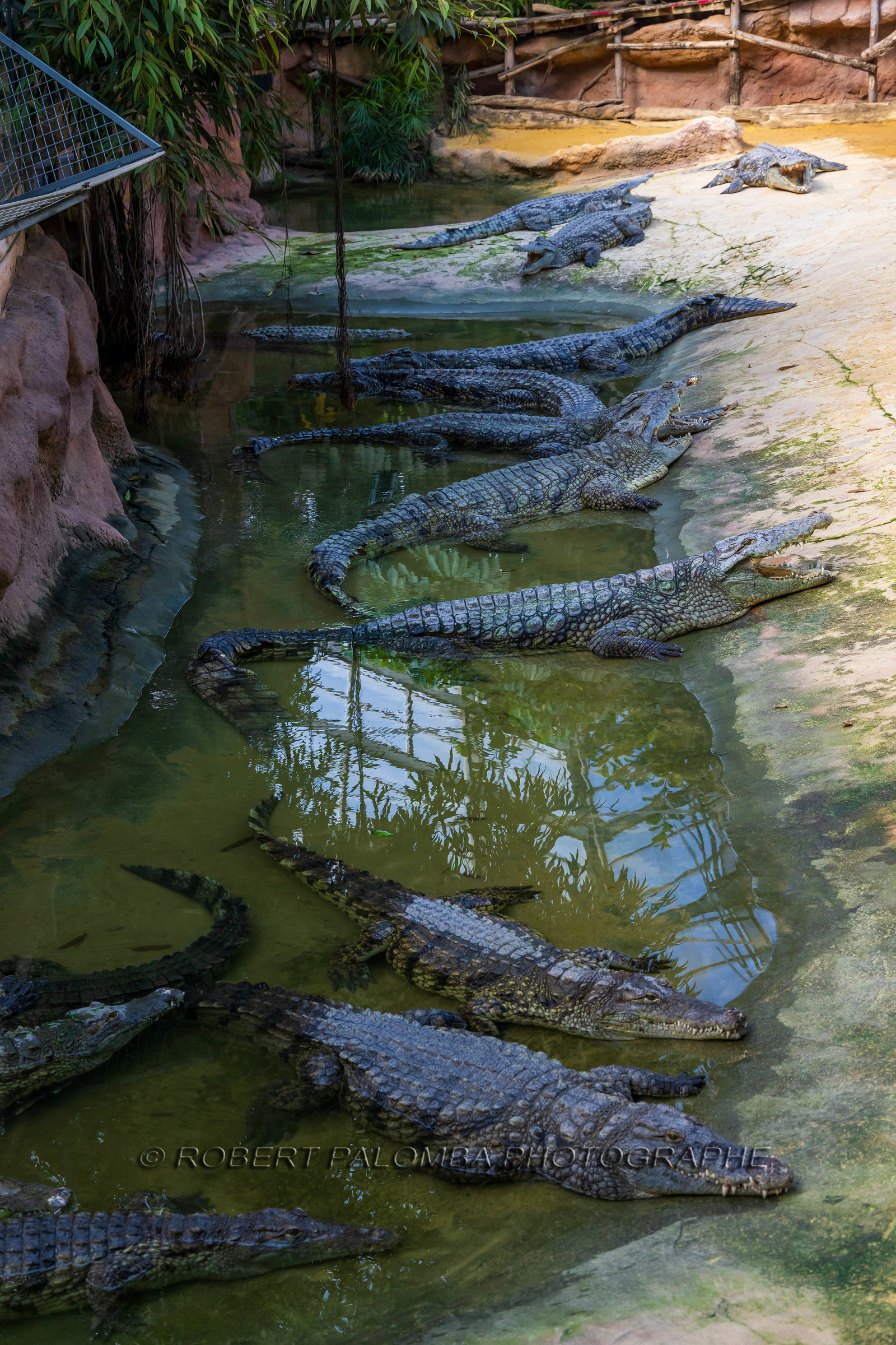 La Ferme aux crocodiles