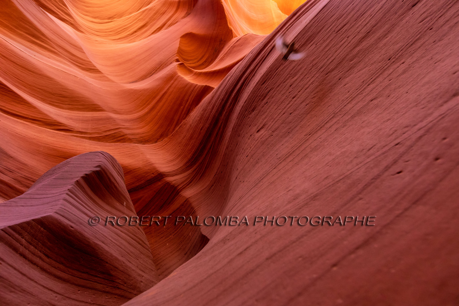 Antelope Canyon