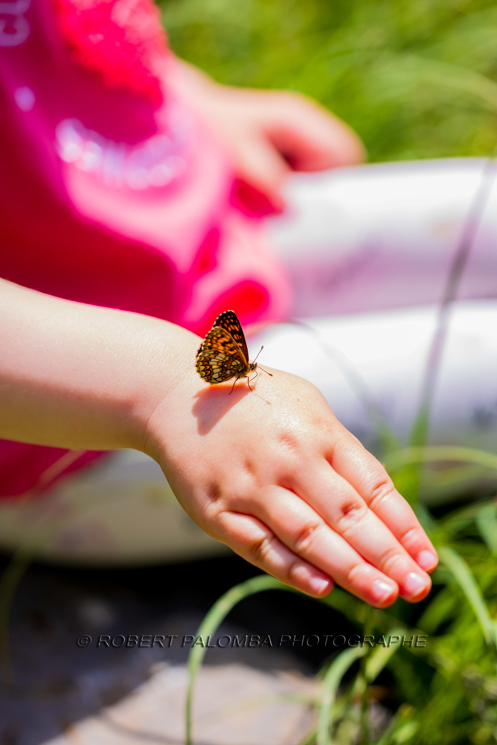 Alpes-de-Haute-Provence (04) Val d'Allos