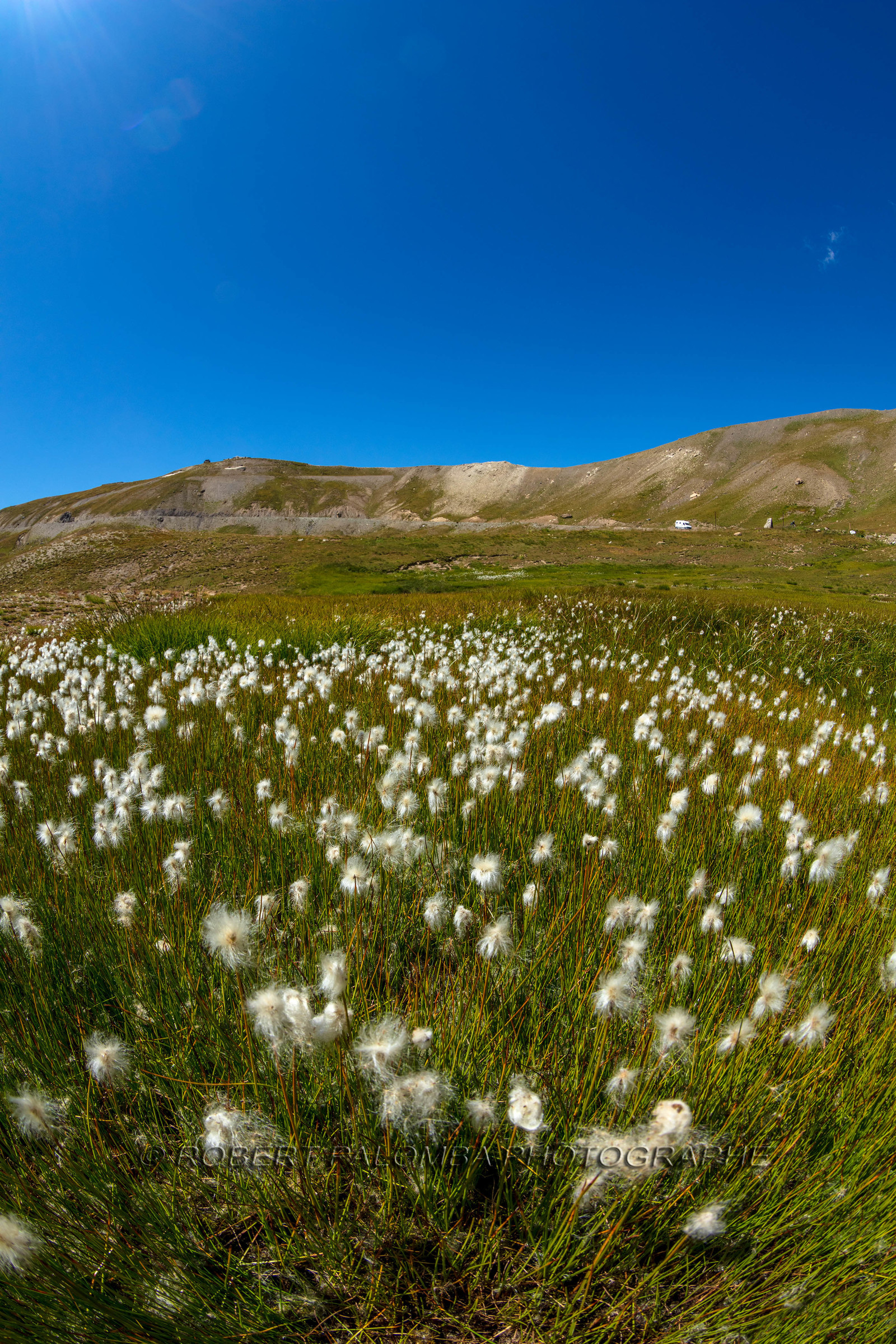 Col de la Bonette