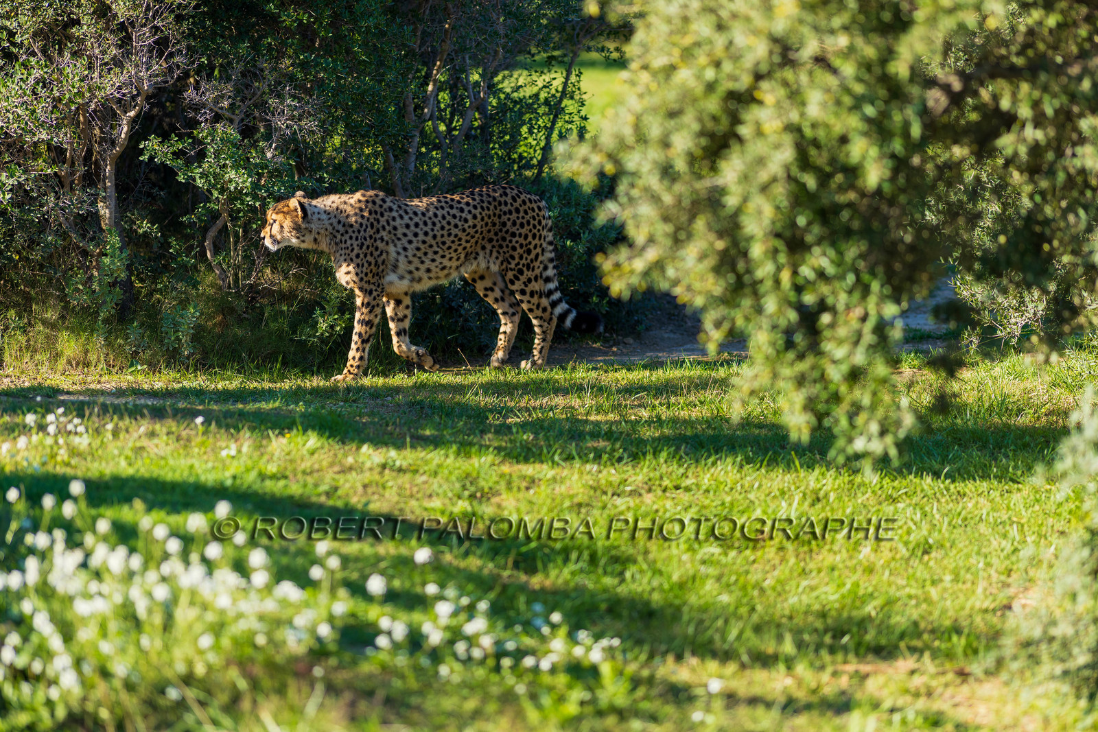 Parc animalier de la Barben