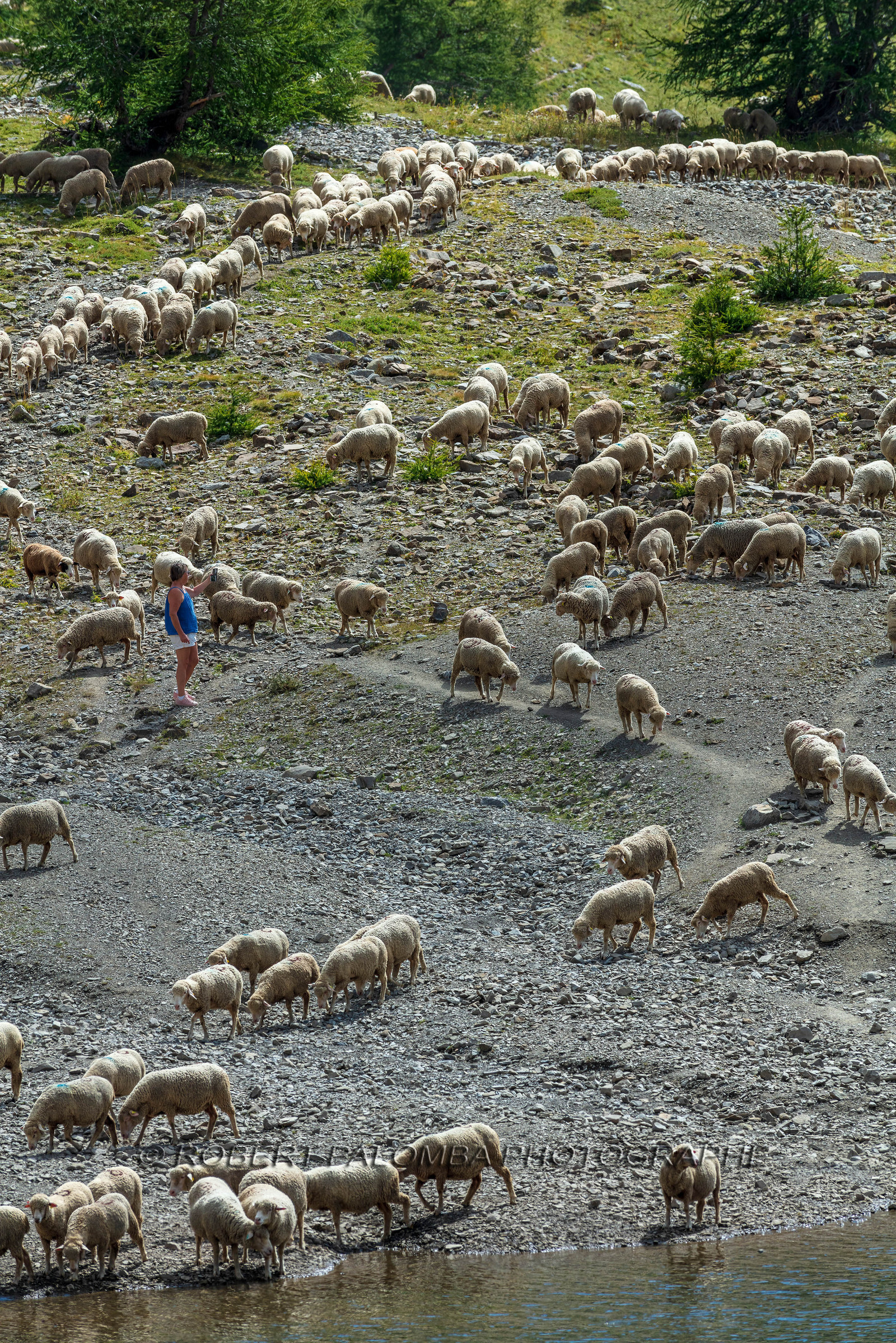 Lac d'Allos