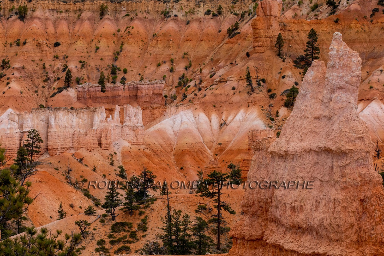 Bryce Canyon