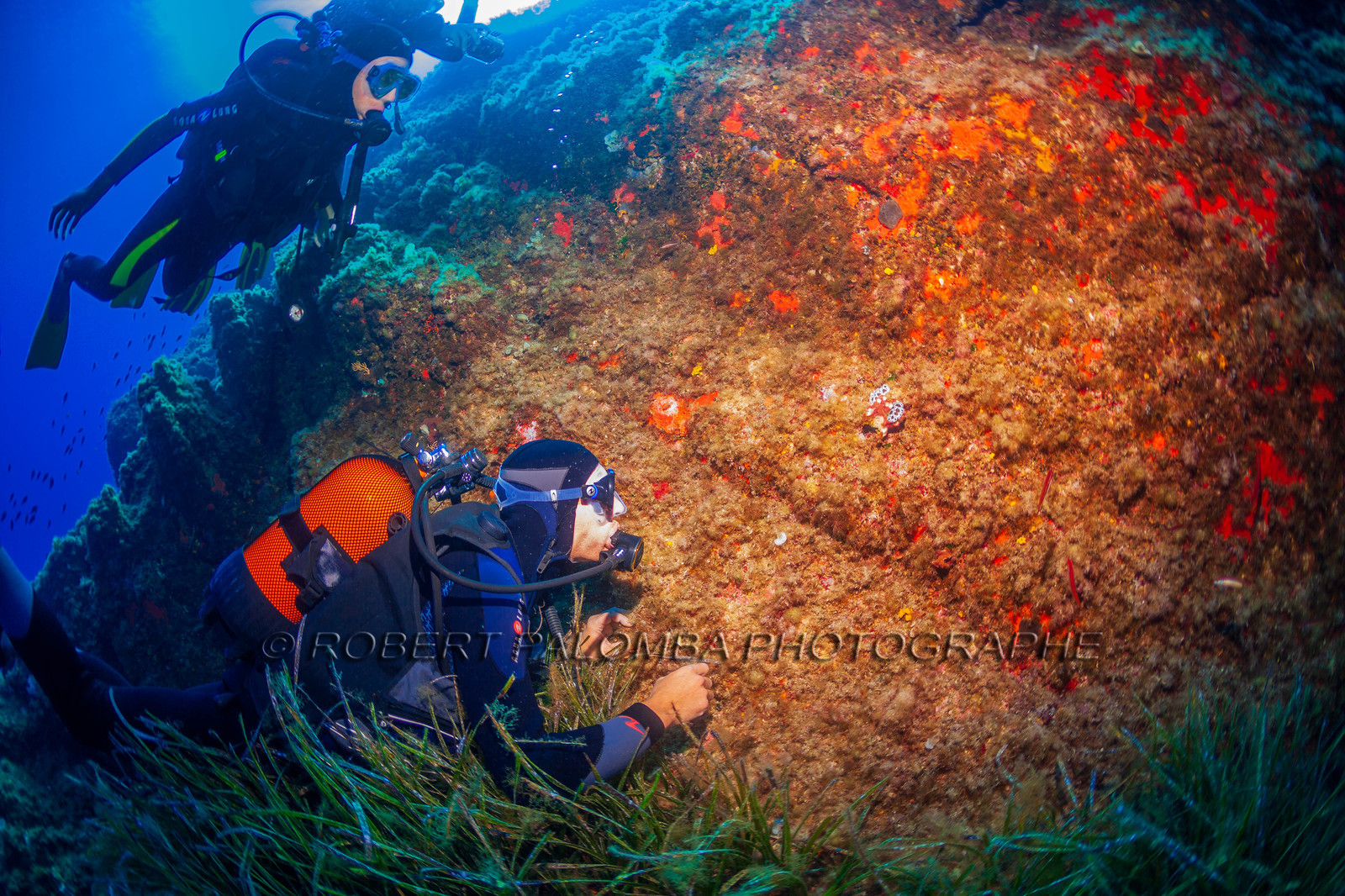 Plongée-sous-marine