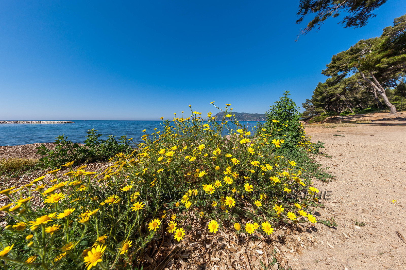 Saint-Mandrier-sur-Mer