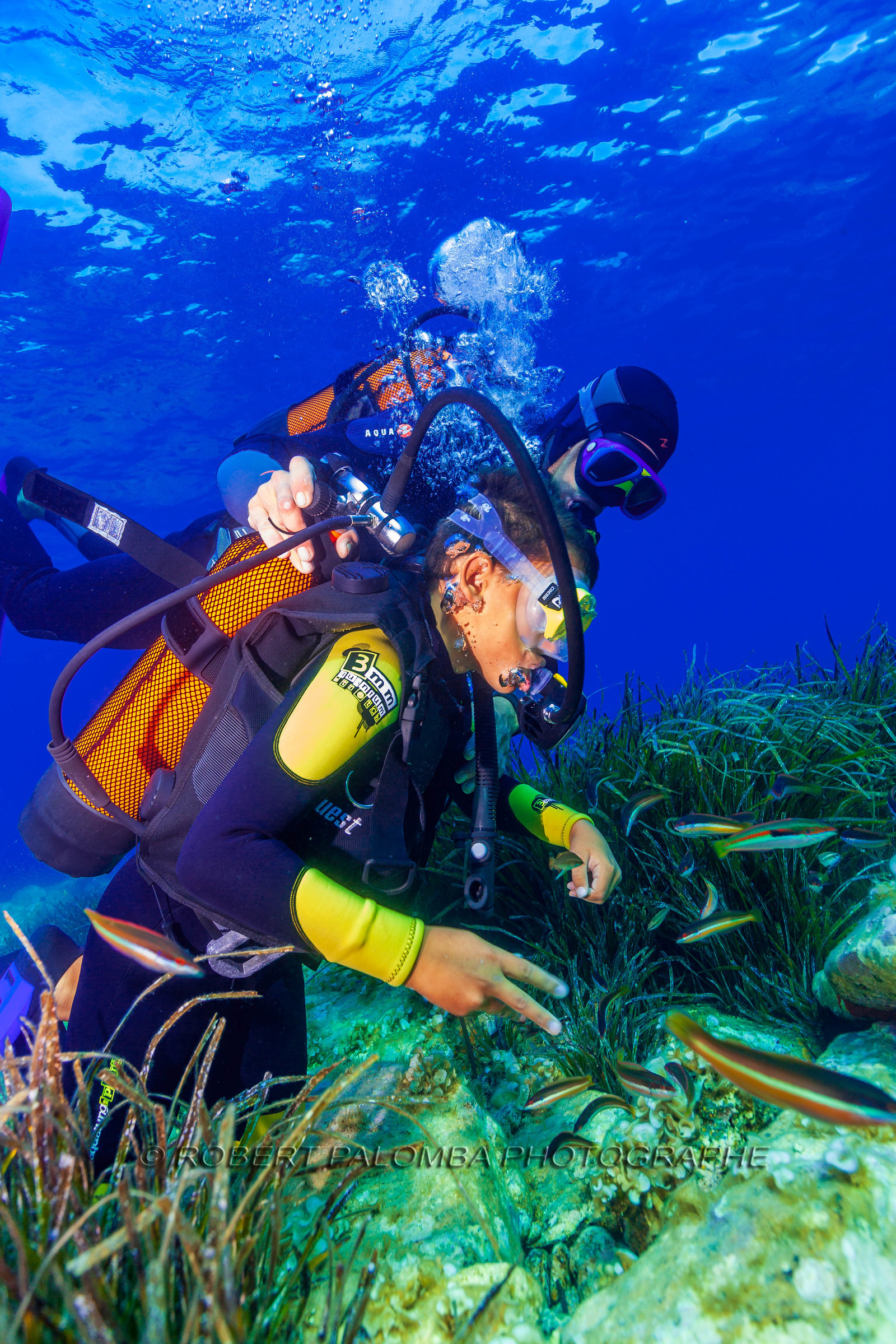 Plongée-sous-marine