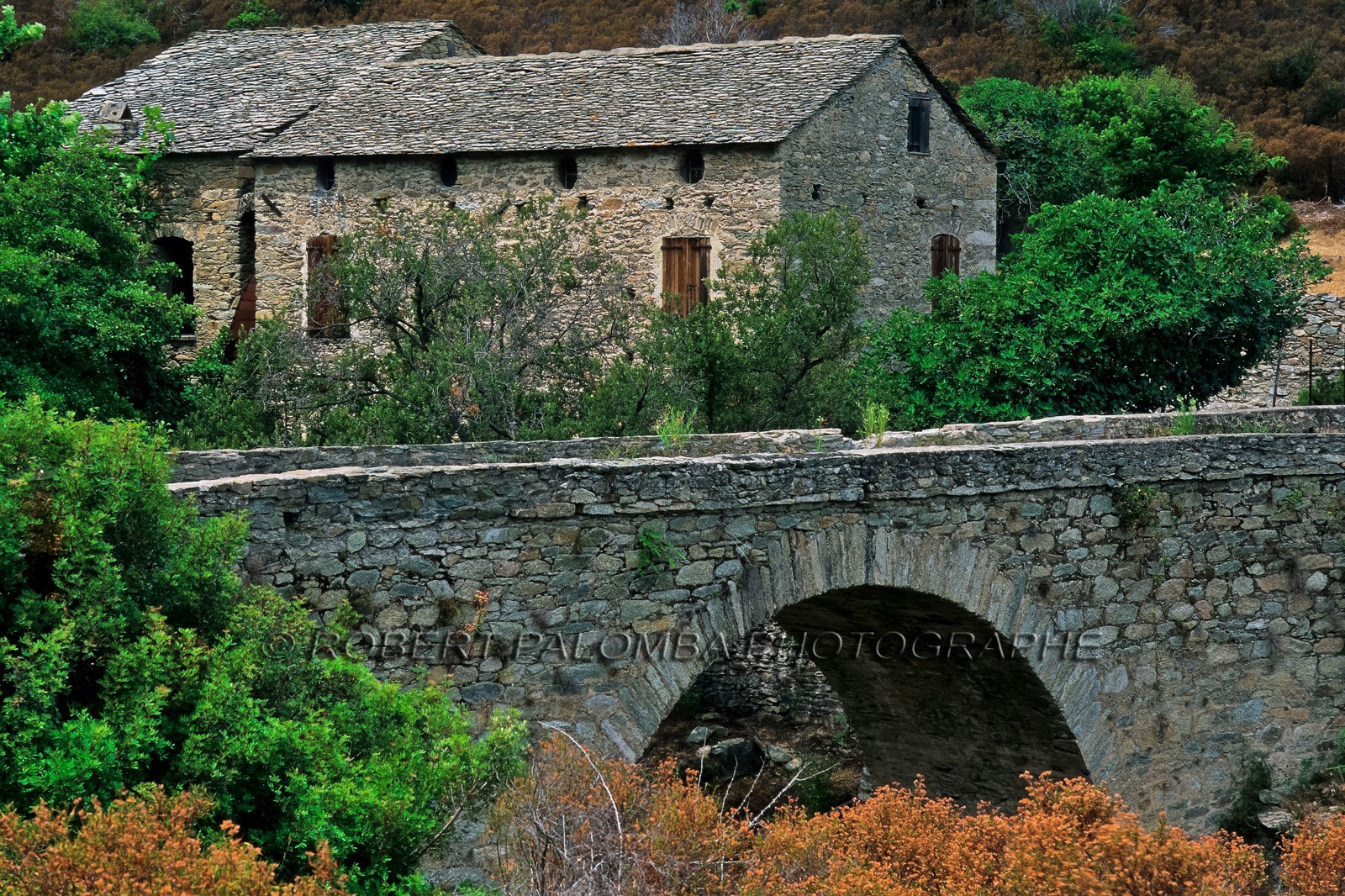 e mail robert.palomba@wanadoo.fr