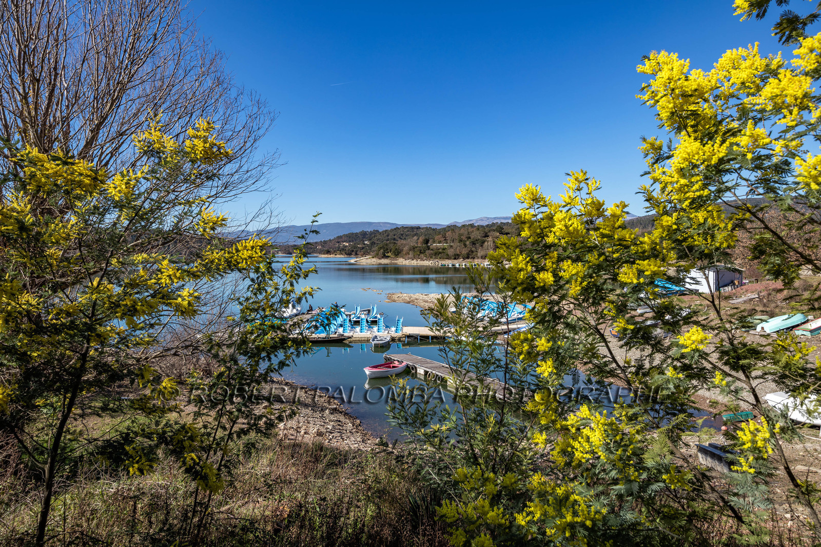 Lac de Saint-Cassien