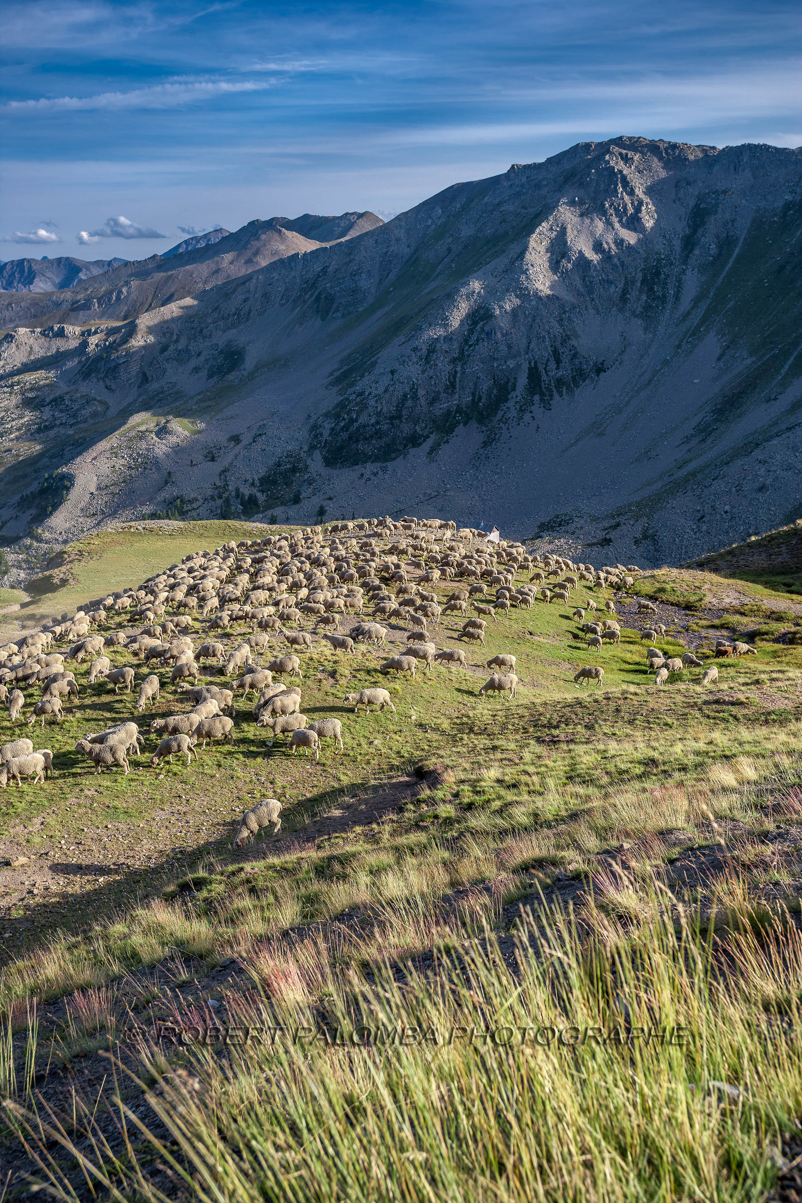 Col de la Bonette