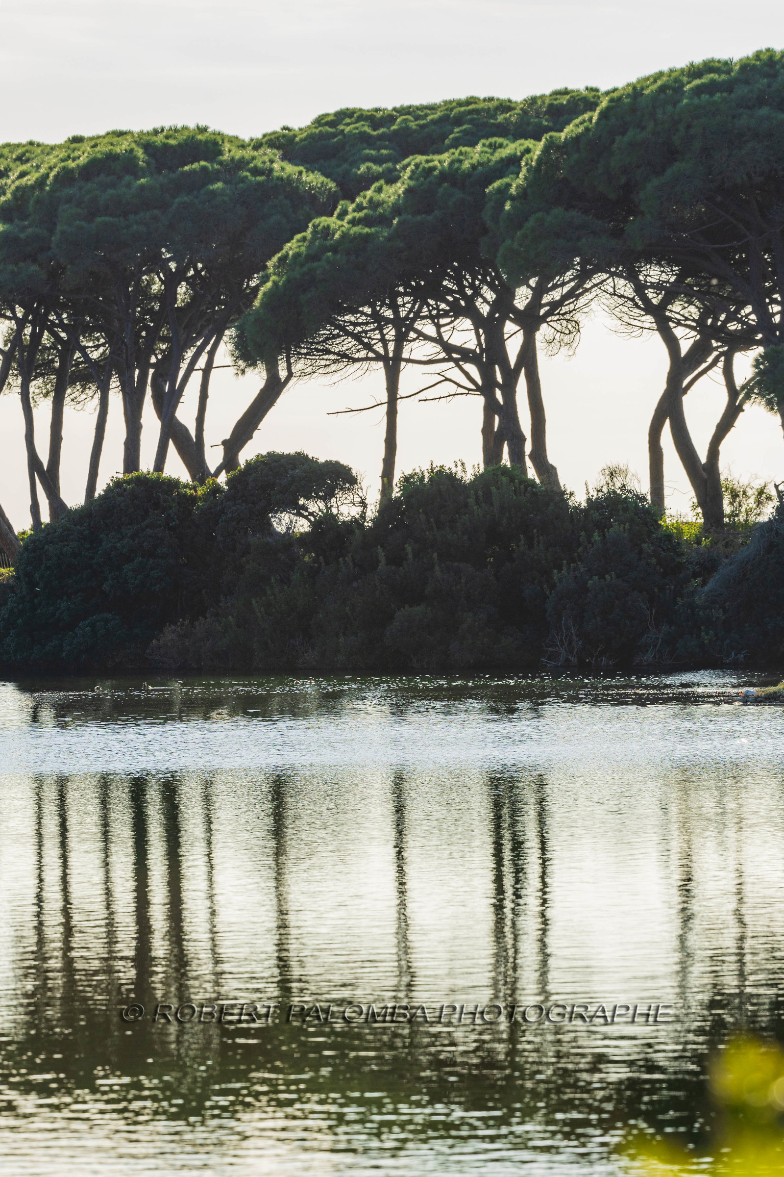 Lérins Sainte-Marguerite 2024