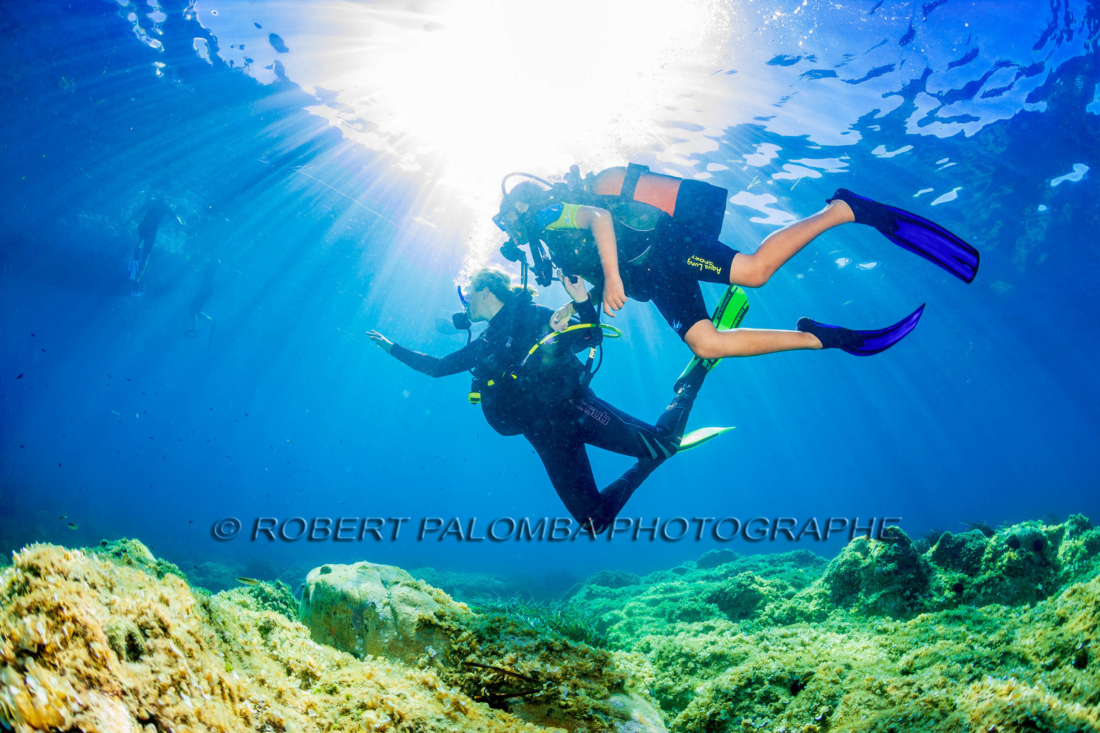 Plongée-sous-marine