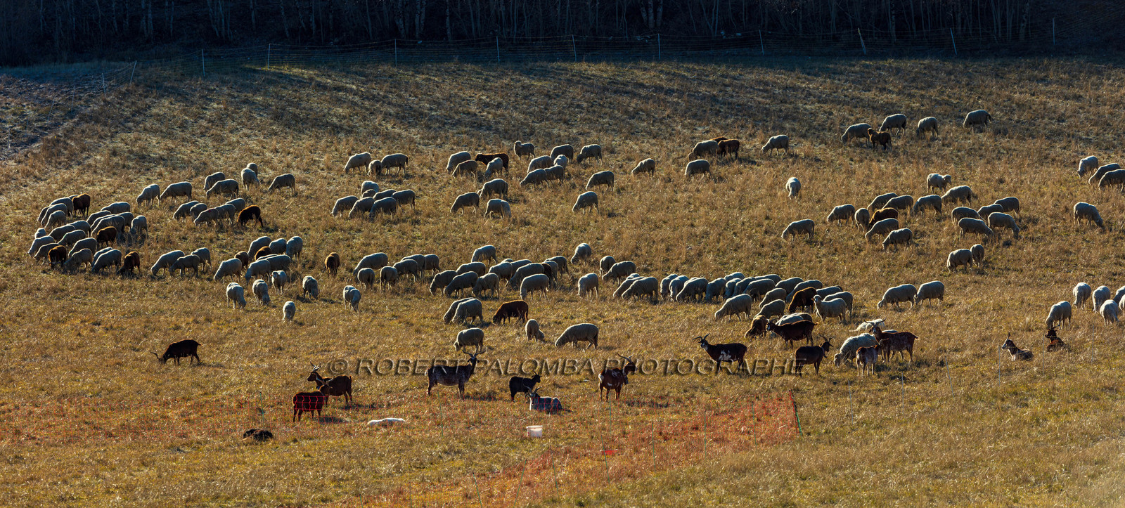 La Colle saint-Michel