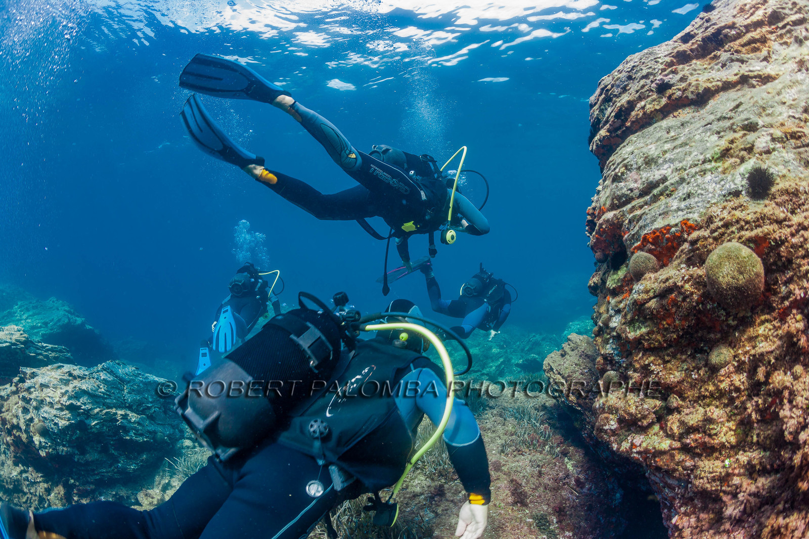 Plongée sous-marine