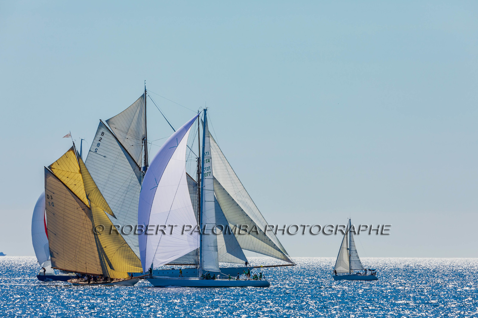 Régates Royales