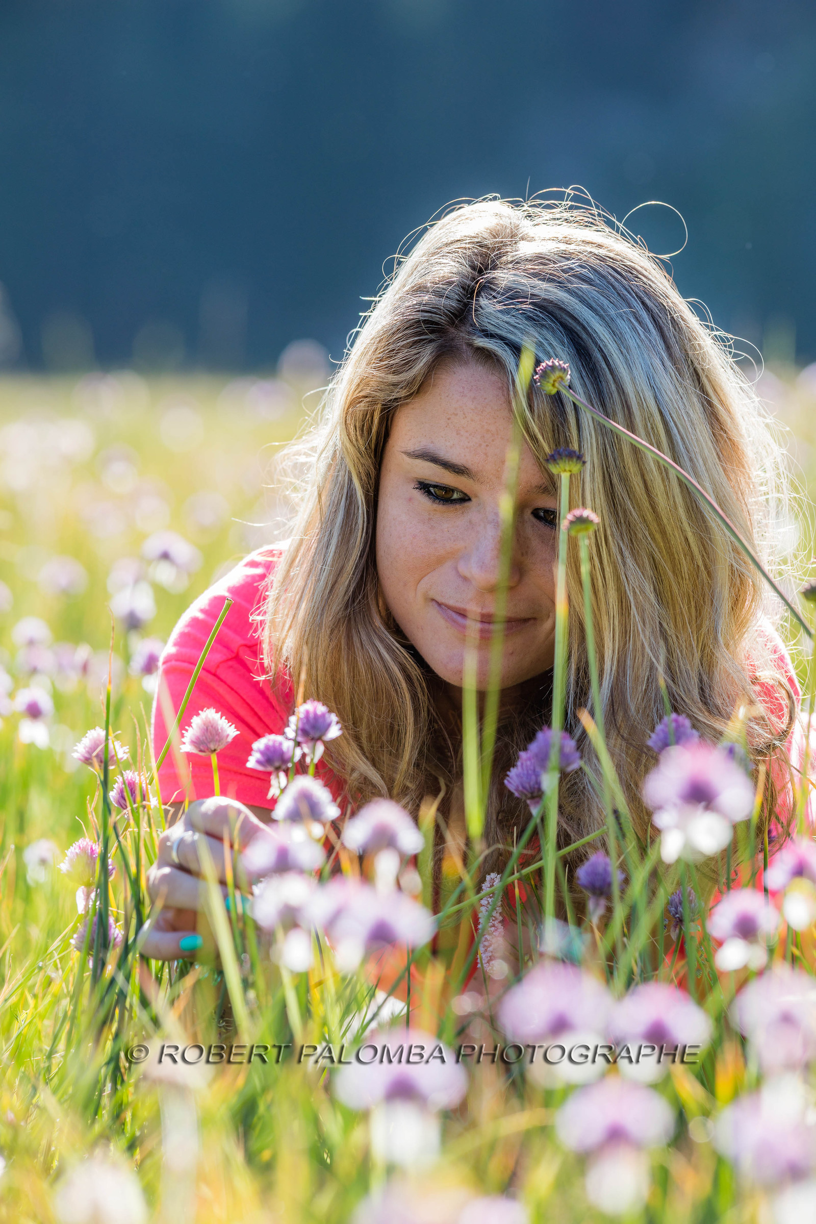 Alpes-de-Haute-Provence (04) Val d'Allos