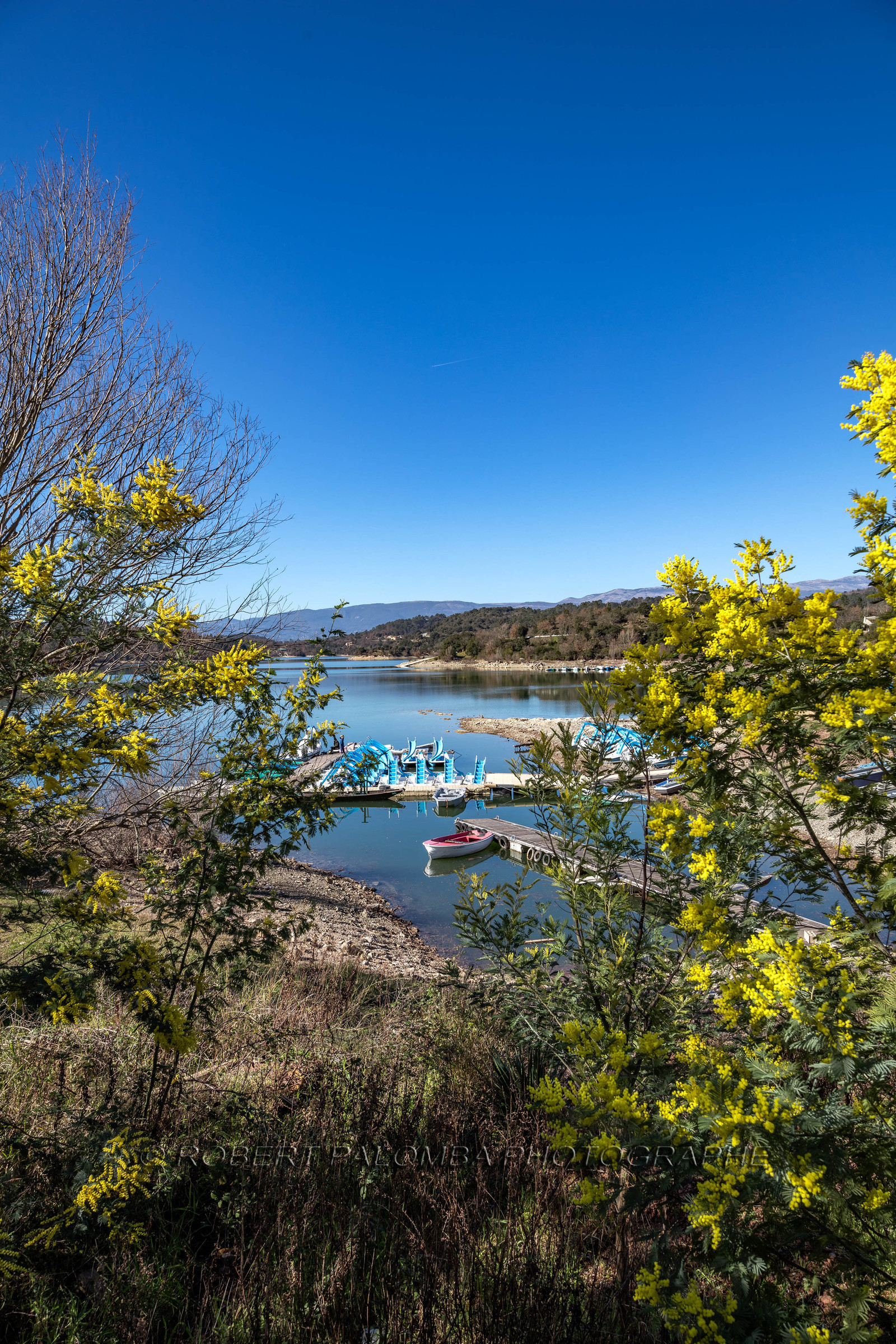 Lac de Saint-Cassien