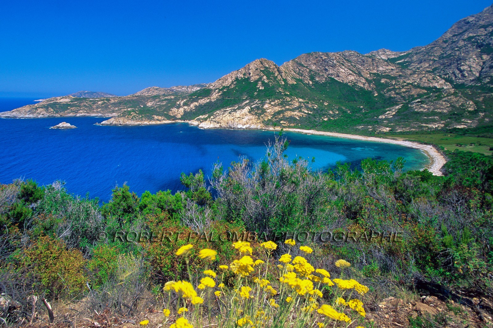 e mail robert.palomba@wanadoo.fr