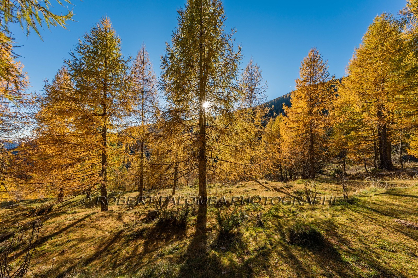 Granges de la Brasque