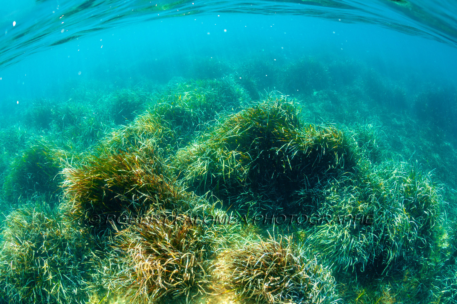 Lérins Sainte-Marguerite